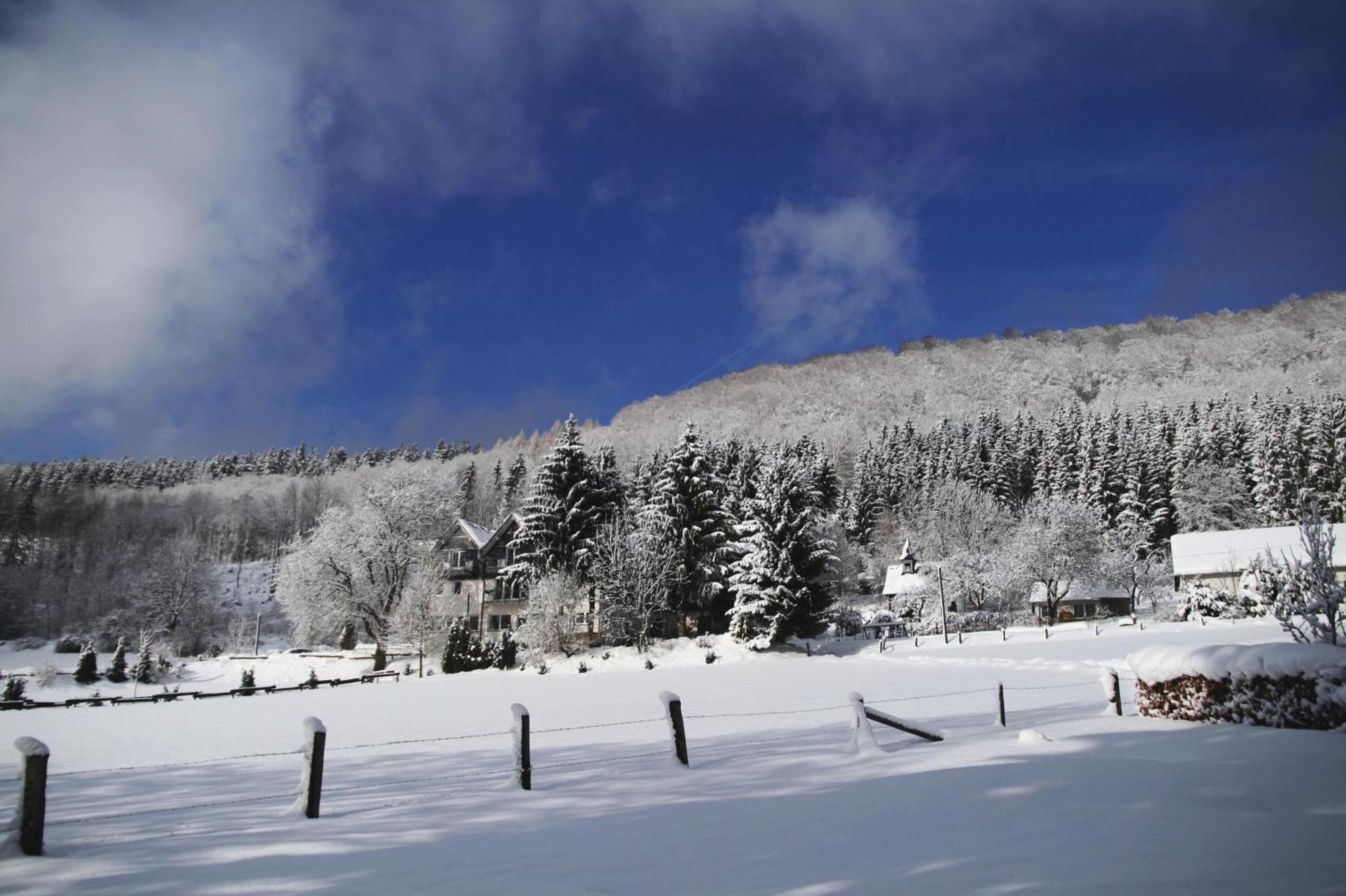 Waldhotel Schinkenwirt Ольсберґ Екстер'єр фото